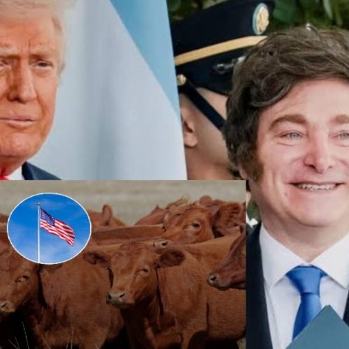 Fazendeiros dos EUA criticam sugestão de Trump de importar mais carne Argentina