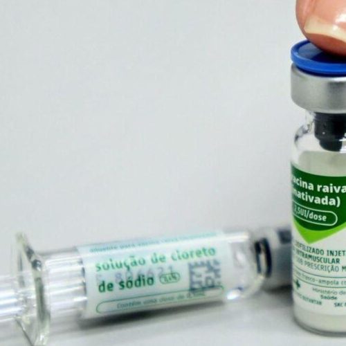 Campinas (SP) confirma primeiro caso de raiva em gato desde 2016