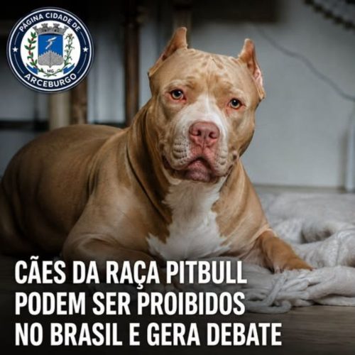 Proposta de PL do deputado Gilberto Nascimento (PSD-SP) tenta banir a raça Pitbull do Brasil