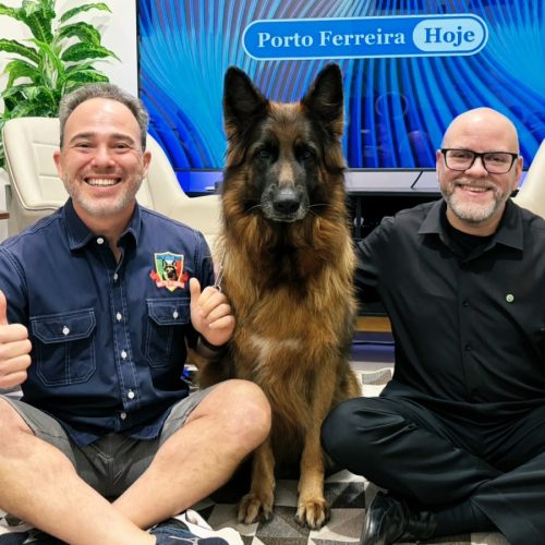 O que define um campeão? Os segredos do Campeonato Brasileiro de Pastor Alemão