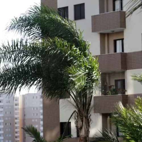 Frente fria aumenta ventos e deixa regiões de SP em alerta