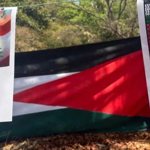 Neste domingo forças israelenses mataram 73 palestinos e deixaram mais de 150 feridos em ataque da FDI durante busca por ajuda humanitária