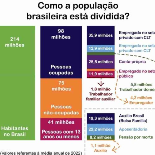 Brasil um retrato da população: entre ocupados, não ocupados e os desafios do futuro