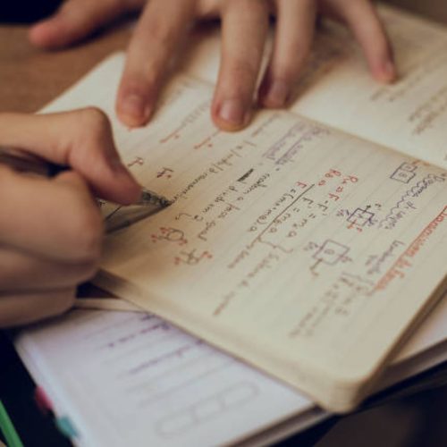 De olho no Vestibular: o que priorizar na hora de estudar