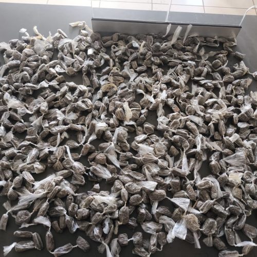 Polícia Militar apreende mais de um quilo de maconha em Porto Ferreira