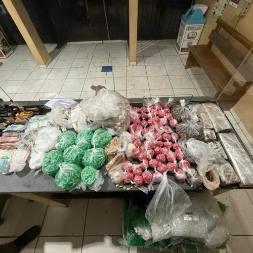 Polícia Militar apreende grande quantidade de drogas em operação em Porto Ferreira
