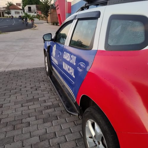 GCM cumpre mandado de internação provisória de menor no bairro Vila Maria