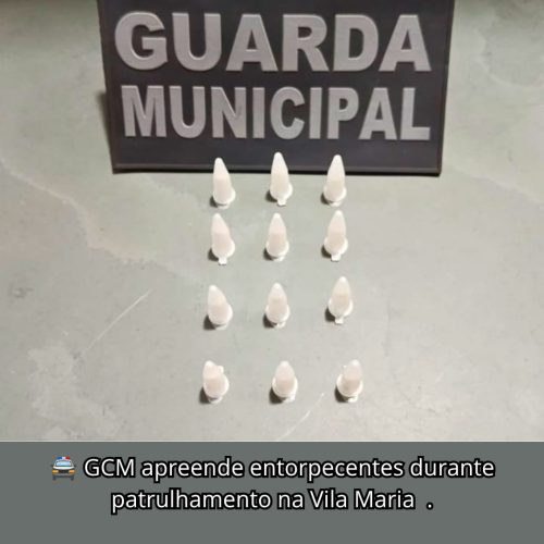 GCM de Porto Ferreira apreende porções de cocaína durante ação na Vila Maria