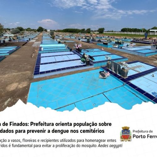 Dia de Finados: cuidados nos cemitérios ajudam a prevenir a dengue em Porto Ferreira