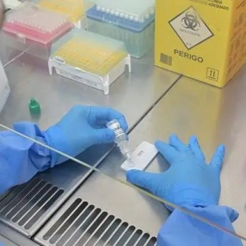 Hantavírus mantém circulação no Brasil e preocupa pela alta mortalidade