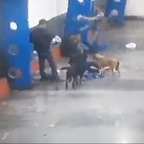 Discussão por R$ 5 termina com idoso sendo chutado na cabeça em São Pedro