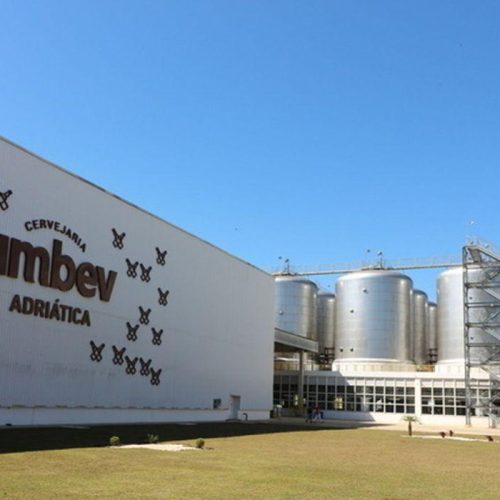 Ambev oferece salário de R$ 9,5 mil em vagas de trainee e estágio