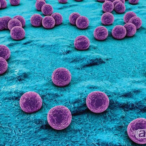 USP e Texas A&M desenvolvem método inovador para prever evolução da resistência bacteriana