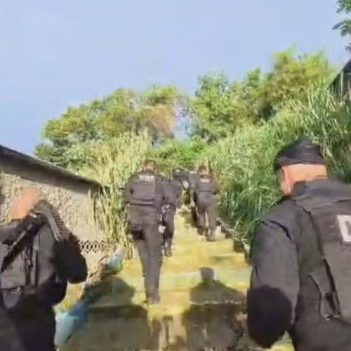 Investigação revela que adolescente foi vítima de e$tup&o coletivo após erro de facção criminosa