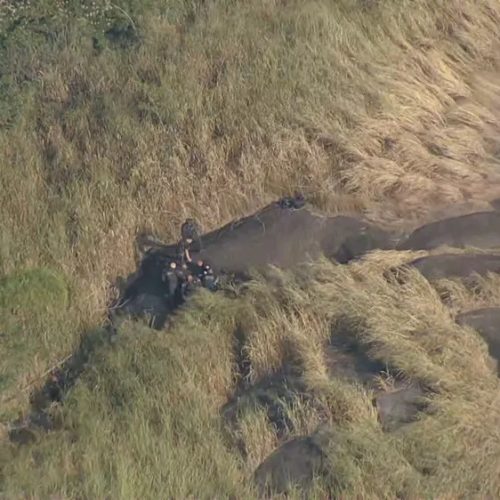 PM é morto com tiro na cabeça durante operação contra criminosos no Rio de Janeiro