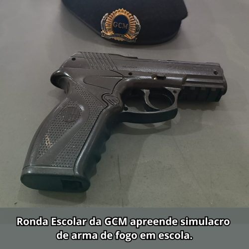 Aluno leva simulacro de arma para escola Mário Borelli Thomaz de Porto Ferreira