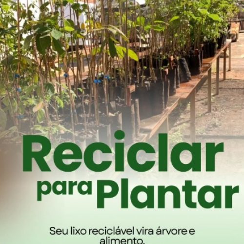 Porto Ferreira transforma recicláveis em mudas de árvores com projeto da SEMAZ