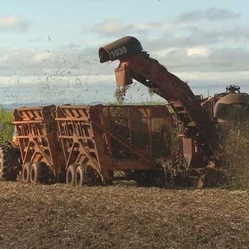 Raízen pede recuperação extrajudicial e acende alerta entre produtores de cana do Centro-Sul do Brasil