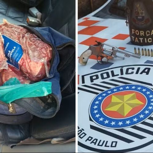 Dupla é presa com armas, munições e 24 kg de carne furtada