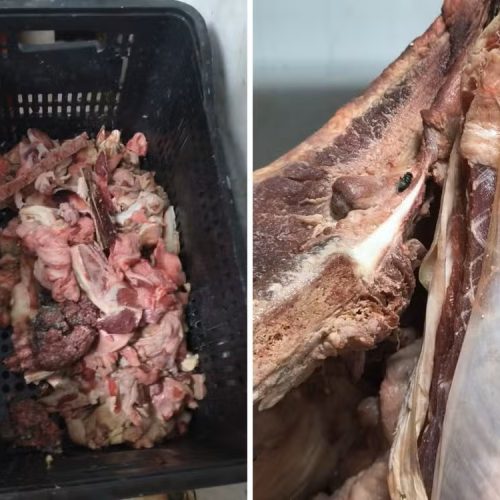 Dono de supermercado é preso após fiscalização e apreensão de alimentos impróprios; houve uma denúncia anônima