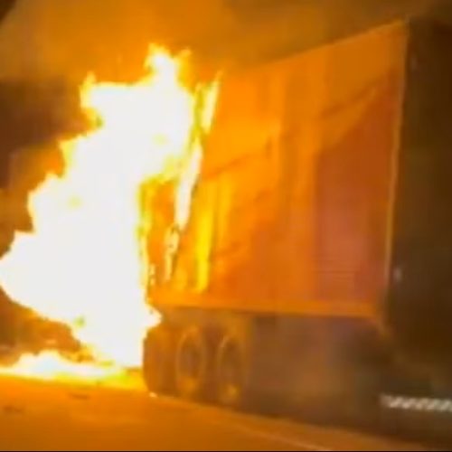 Cópia de paulínia - 1