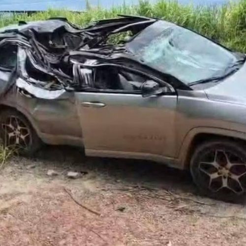 Bebê de Ribeirão Preto morre após árvore cair sobre carro na MG-444