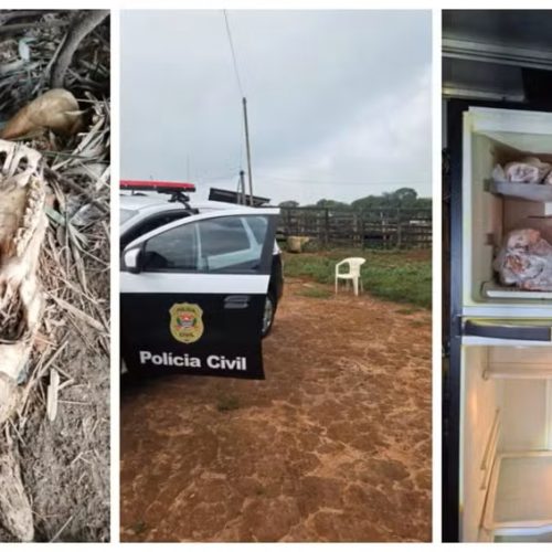 Carne clandestina e “cemitério” de animais são descobertos em investigação no interior de SP