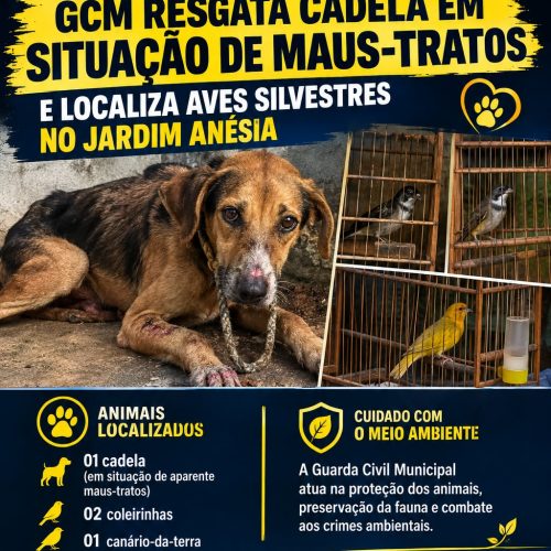 GCM resgata cadela em situação de maus-tratos e encontra aves silvestres em Porto Ferreira