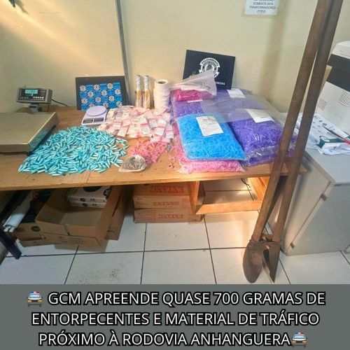 GCM apreende quase 7 quilos de drogas em três ocorrências em Porto Ferreira