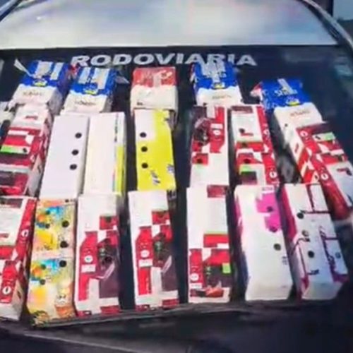 Homem é preso com 25 filhotes de aves silvestres em carro e recebe multa de R$ 117 mil