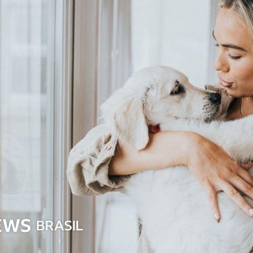 Carinho em excesso e estímulos de menos podem prejudicar o bem-estar do seu cão