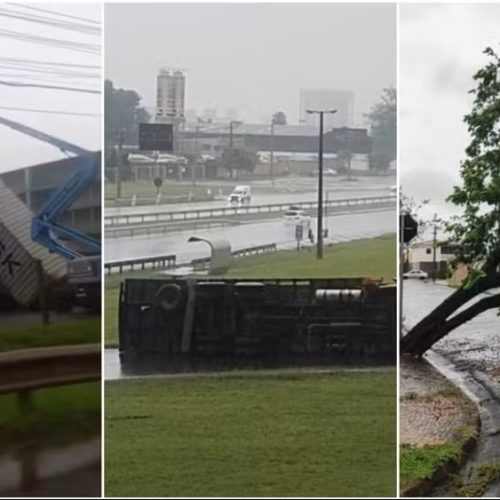 Temporal causa estragos e derruba contêineres, árvores e caminhão em Rio Claro