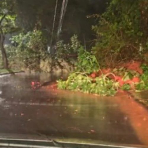 Prefeita de Juiz de Fora pede que moradores evitem sair de casa após temporal