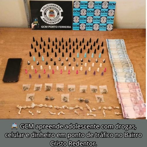 Adolescente é apreendido por tráfico de drogas no Cristo Redentor em Porto Ferreira