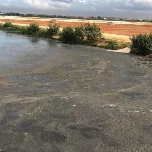 Biotecnologia brasileira transforma lodo em solução sustentável e reduz emissões de CO₂ em até 30 vezes