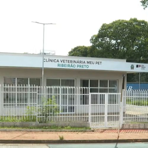 foto - 1