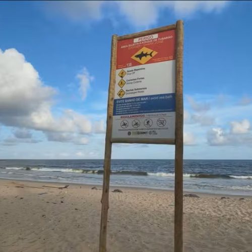 Adolescente de 13 anos morre após ataque de tubarão em praia de Olinda, no litoral de Pernambuco