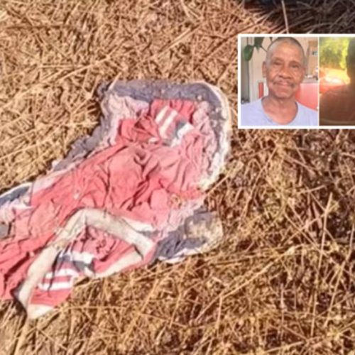 Corpo encontrado em Porto Ferreira pode ser de idoso desaparecido
