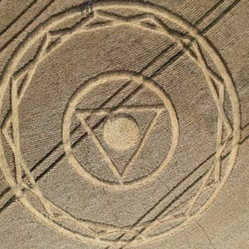 Agroglifo misterioso é encontrado em plantação de Ipuaçu, SC