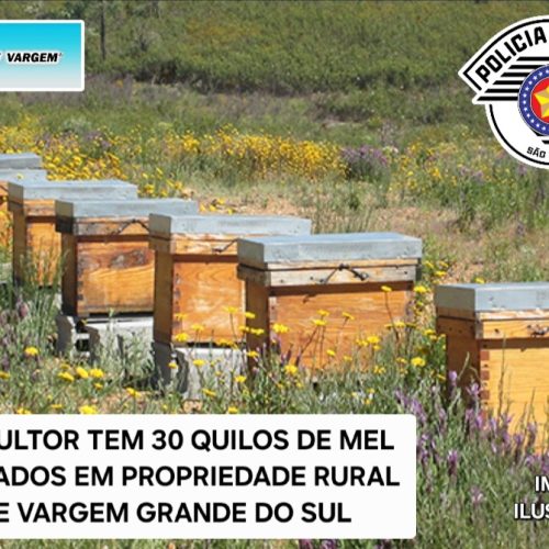Apicultor tem 30 quilos de mel furtados em propriedade rural