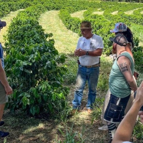 Turismo no interior paulista: café pra relaxar, queijo pra harmonizar, vinho pra comemorar