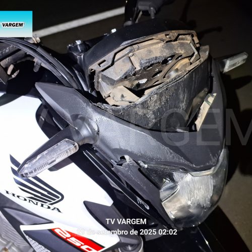 Motociclista fica ferido após atropelar capivara na SP-344