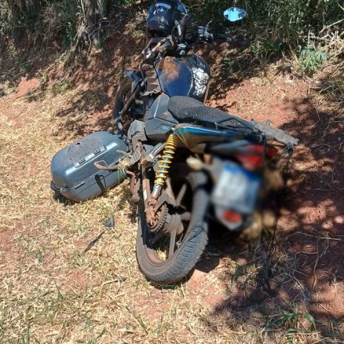 Motociclista morre após atropelar porco selvagem na SP-261; vítima foi encontrada caída no acostamento da rodovia
