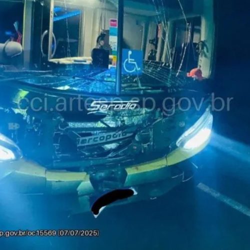 Ônibus atropela bovinos e causa incidente com caminhão e carreta na SP-330 em Santa Rita do Passa Quatro (SP)
