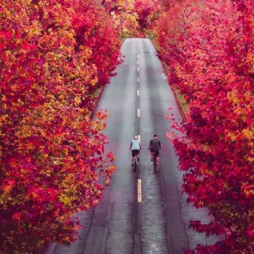 Outono 2026 terá calor acima da média e chuvas irregulares no Brasil