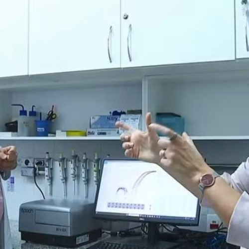 Covid-19 pode reduzir produção de testosterona e afetar fertilidade masculina, aponta estudo da Unesp