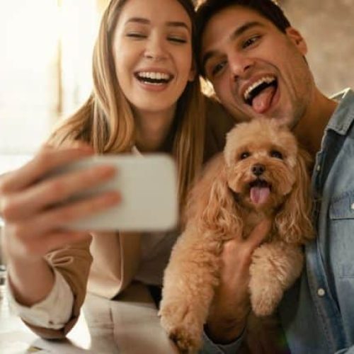 Ribeirão Preto define regras para que pets sejam enterrados com seus tutores