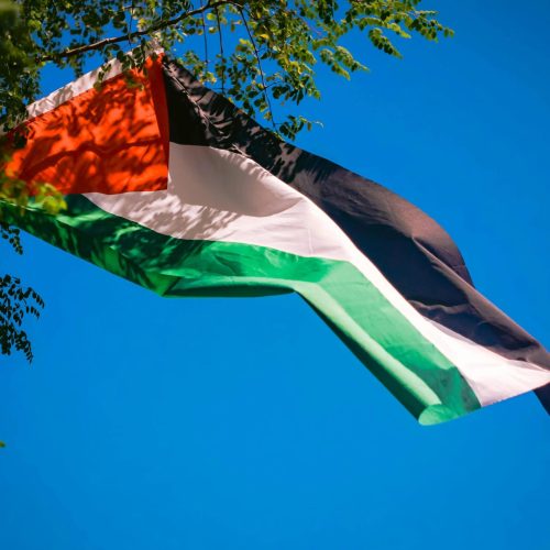 Reconhecimento do Estado da Palestina ganha força internacional