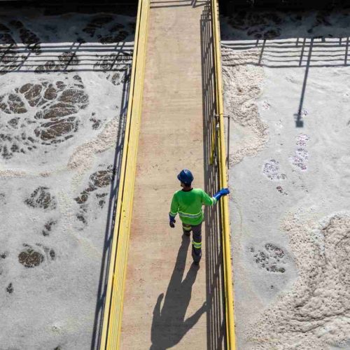 Dia da Árvore destaca contribuição do saneamento para a preservação ambiental em Porto Ferreira