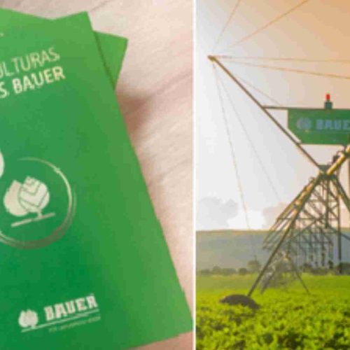 Tenha acesso ao “Guia de Culturas Irrigadas Bauer” que foca agora na batata irrigada